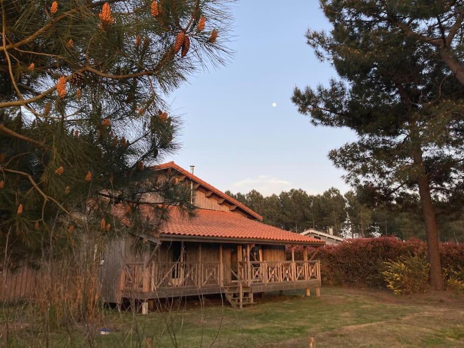 Le Gite De L'Aerogrange Biscarrosse Exterior foto
